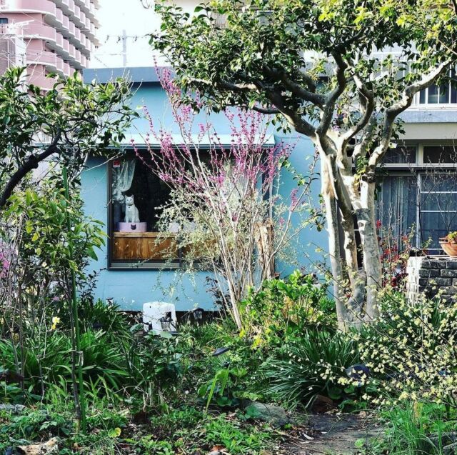 .  福岡出張 第二弾 無事終わりました🍀  今回お集まりいただいた方々からは、施術の後、
よく眠れた、顔のむくみが取れた、目が大きく
なった気がする、大デトックスがあった（今回
はこちらの感想が一番多かったです）などの
フィードバックをいただきました😊  前回受けていただき、お灸のホームケアをお伝え
していた方が、ご自分でコツコツお灸を継続され、
かなり良い状態をキープされている方もいらっしゃ
いましたょ👏  全身調整のオーソドックスな施術の流れとして、
うつ伏せ→仰向けの姿勢でさせていただくの
ですが、仰向けになっていただいた時点で胃腸
の動きが活発になられたのか、お腹がグルグル
鳴り出す方が続出したのが印象的でした✨  お足元が悪い中お越しいただき、ありがとう
ございました💝  全身調整施術の流れ☟  舌診、脈診、腹診など丁寧に問診
を行い、お身体の状態を把握させ
ていただきます。  　　　　　　　↓  頭からつま先まで全身をスキャン
するように整体しながら、お身体
の状態を把握します。その上で、
必要な箇所に鍼灸を行います。  　　　　　　　↓  お身体がしっかり緩んだ状態で、
お顔と頭皮の必要な箇所へ鍼をさせ
ていただきます（お化粧をしたまま
で大丈夫です👌）  　　　　　　　↓  お身体スッキリ✨お顔ピカピカ✨  お身体はガチガチの状態で鍼を受けるより、先に
整体である程度筋肉がほぐれた状態で受けていた
だく方が緩み方が早いのと、施術後の持ちも違っ
てくると考えます。  対処療法ではなく、不調の原因を探りながら、
全身で調整していく。ご自身が本来お持ちの自然
な身体の状態に戻るお手伝いをさせていただき
ます😌  最近、代謝が落ちた気がする、便秘気味だ、
太りやすくなった…など気になる症状がござい
ましたら、プロフィール欄にある公式LINE
またはDMからまずはお気軽にご相談ください
ませ🤲  アラフィフ女性鍼灸師が、貴女のお悩みに寄り
添い丁寧に施術させていただきます。  鍼灸院　花鳥風月
月水木金　10〜16時（15時最終受付）  #女性鍼灸師
#広島鍼灸
#福岡出張鍼灸
#女性専用鍼灸院
#鍼灸院 花鳥風月
#心身一如
#自律神経鍼灸
#整体鍼灸
#不調に気づく
#全身丸ごとメンテナ
#鍼灸で体質改善
#デトックス鍼灸
#代謝アップ
#むくみ取り
#便秘にも